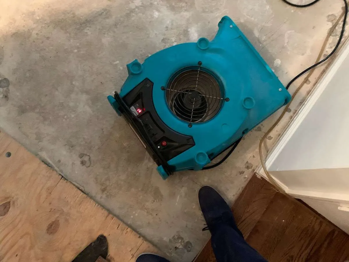 Air mover drying subfloor during Leak Detection & Repair in Linthicum